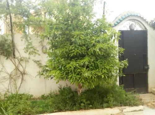 Vente Villa Alger Staoueli