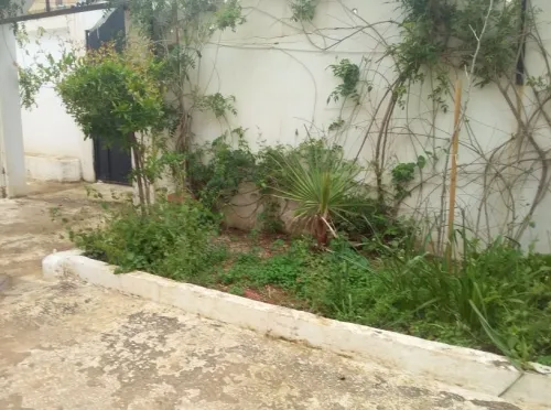 Vente Villa Alger Staoueli