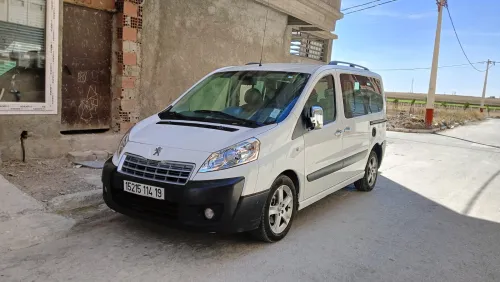 Peugeot Expert 2014 V.U Court
