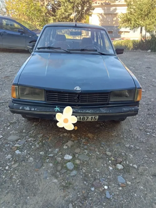 Peugeot 305 1987 305