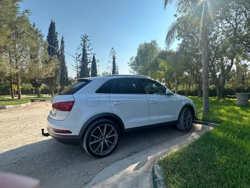 Audi Q3 2016 Off Road (facelift)