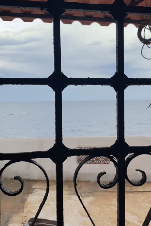 Vente Villa Alger Hammamet