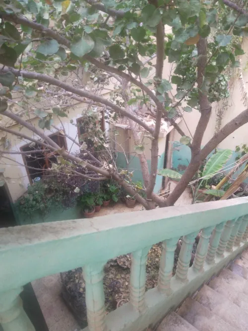 Vente Villa Tlemcen Maghnia