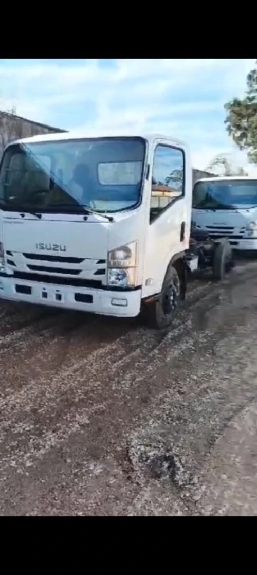 Isuzu Isuzu 2026