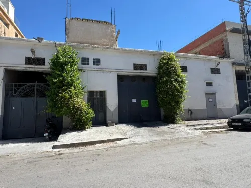 Vente Hangar Sétif Setif