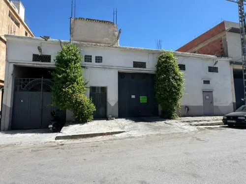 Vente Hangar - Usine Sétif Setif