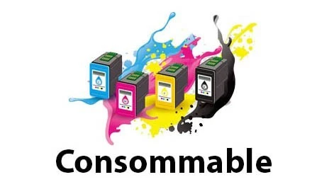 Vente et livraison consommable informatique 