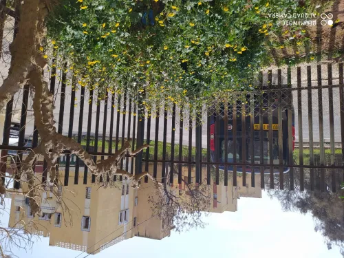 Location vacances Appartement F2 Alger Ain benian