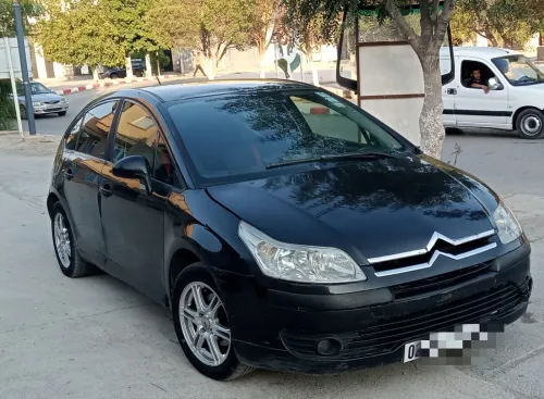 Citroen C4 2008 Vitamine