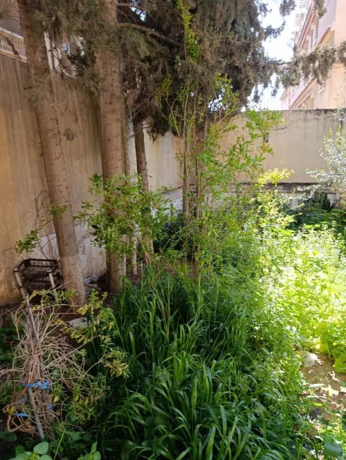 Vente Villa Alger Baba hassen