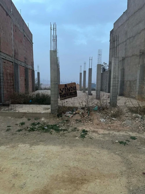 Vente Terrain Tlemcen Beni mester