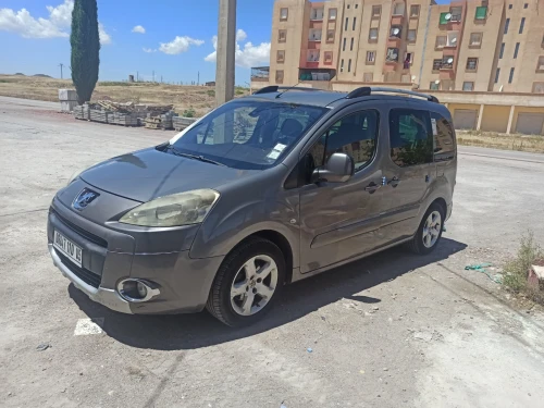 Peugeot Partner 2010 Tepee