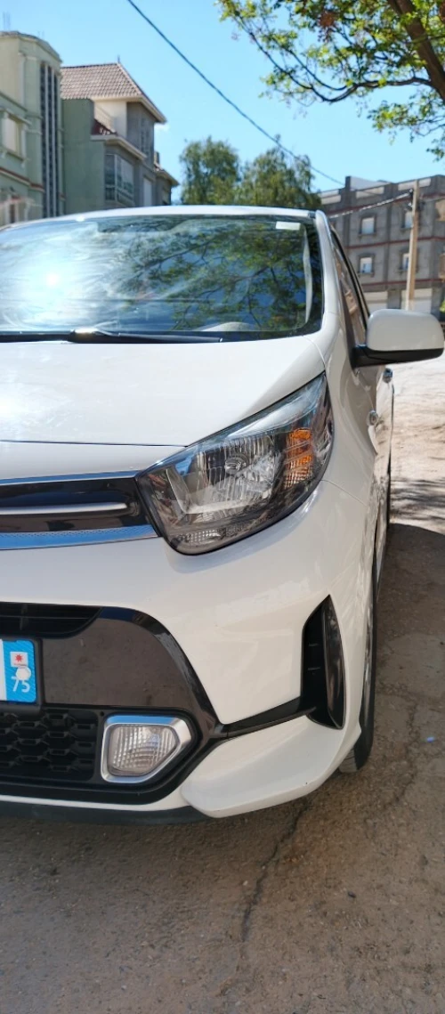 Kia Picanto 2022 Morning