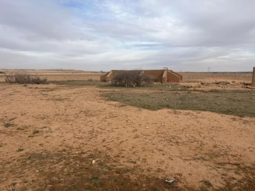 Vente Terrain Agricole Djelfa El khemis