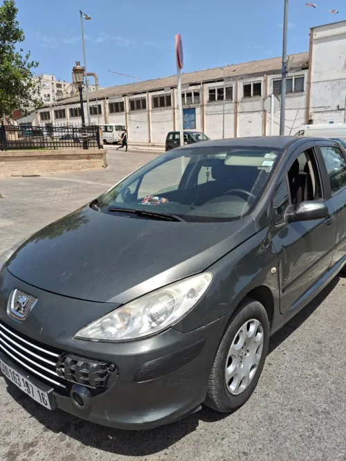 Peugeot 307 2007 307