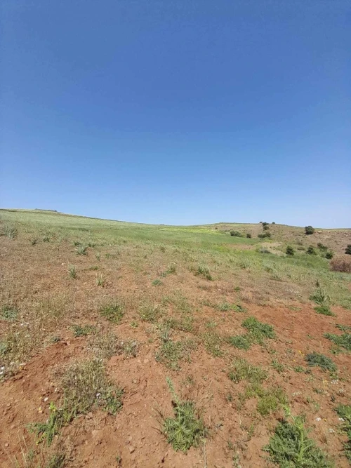 Vente Terrain Agricole Bouira Sour el ghouzlane