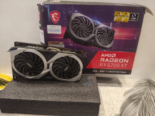 Msi rx 6700xt mech x2
