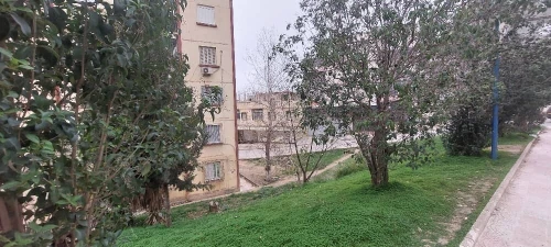 Vente Local Boumerdès Tidjelabine