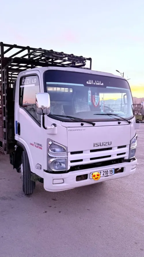 Isuzu Npr 2010