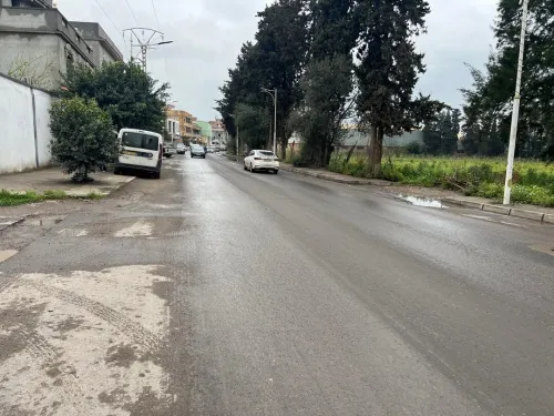 Vente Terrain Blida Beni tamou