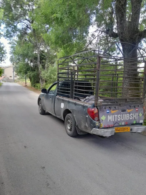 Mitsubishi L200 2009 L200
