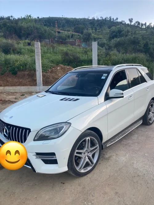 Mercedes ML 2014 250 CDI Pack AMG