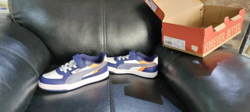 Basket puma