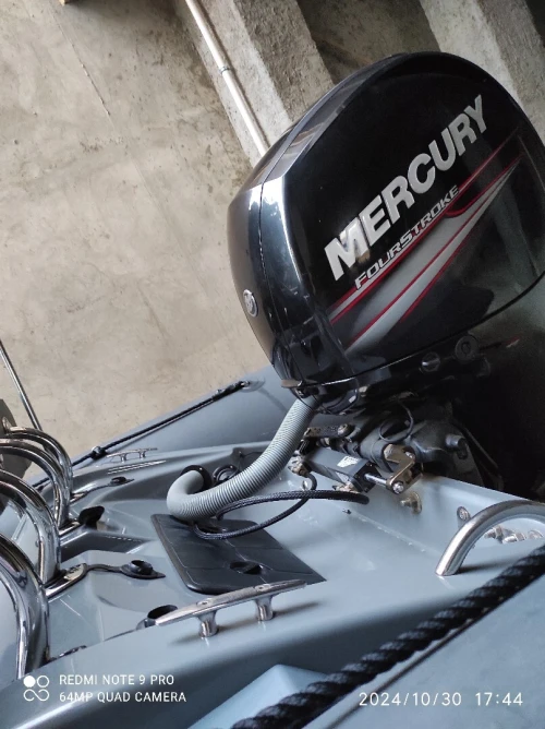 Semi rigides Raid édition limitée 6m50