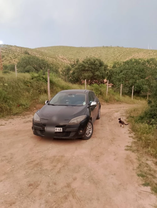 Renault Megane 3 2009 Privilege