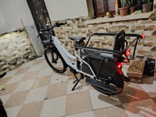 Vélo électrique    riese Müller