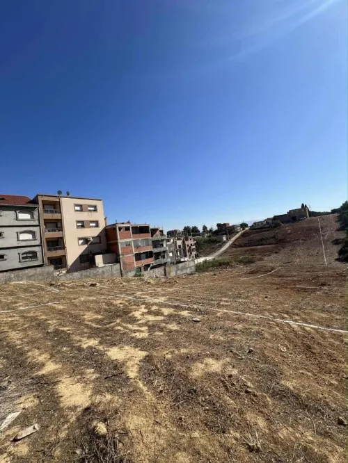 Vente Terrain Alger Saoula