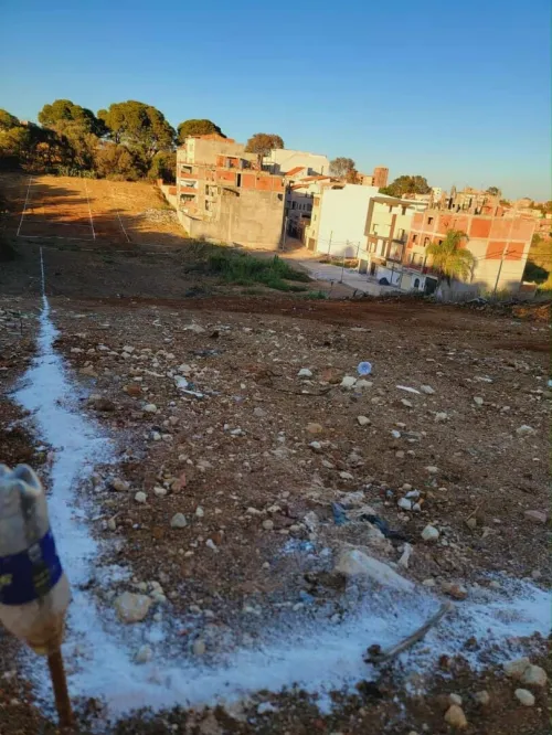 Vente Terrain Alger Saoula