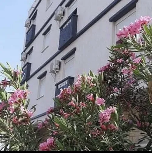 Location vacances Appartement F2 F3 F4 El Tarf El kala