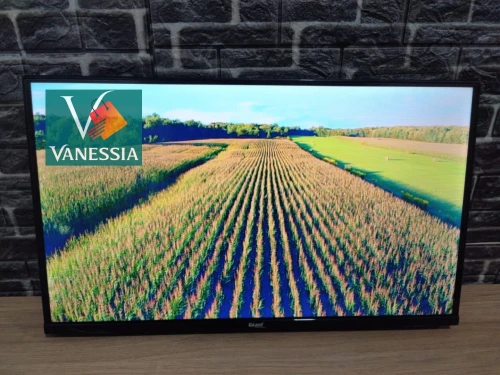 Télévision Simple avec démo intégré Qled tv