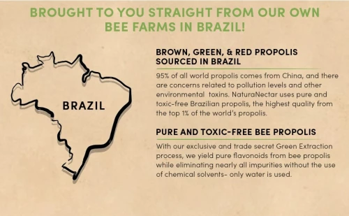 Bee Propolis Ultimate
