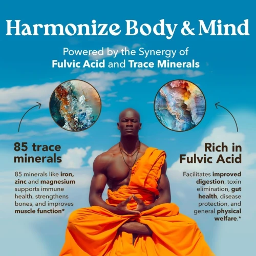 Shilajit Pure 66 Grammes - Qualité Premium
