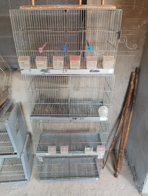 cages 