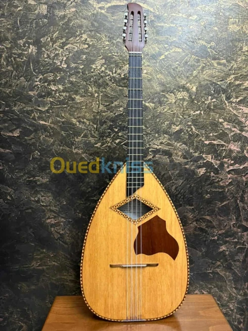 Mondole Professionnel