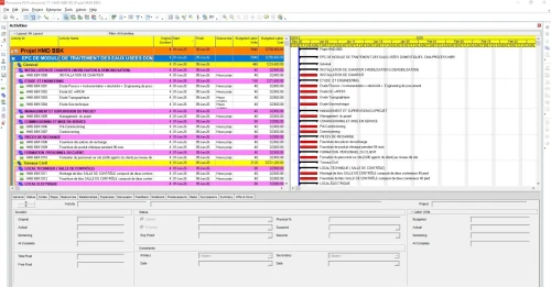 Ingénieur Planning & Project Control, Primavera P6 (Oil & Gas-Industriel)