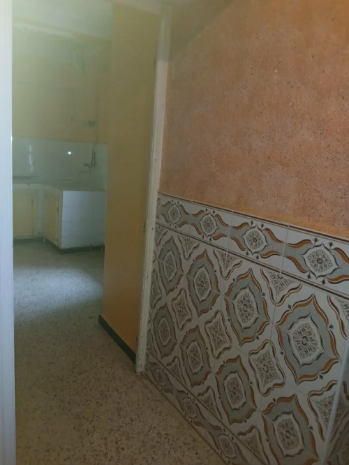 Vente Immeuble Chlef Chlef