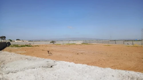 Vente Terrain Agricole Oran Ain el bia