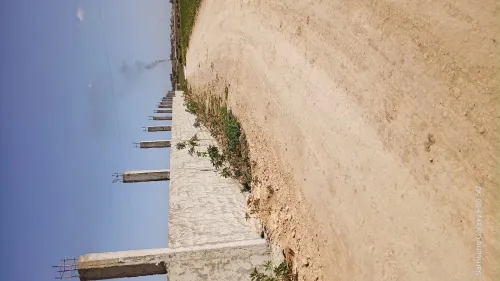 Vente Terrain Agricole Oran Ain el bia