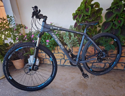 Velo 29