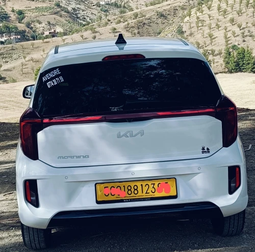 Kia Picanto 2023 Mornig