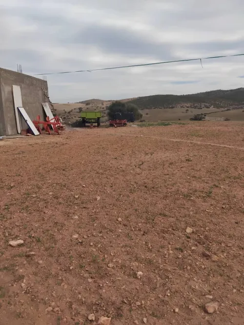 Vente Terrain Agricole Aïn Defla Khemis miliana