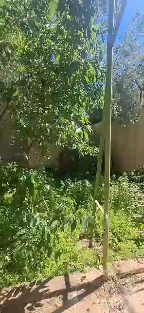 Vente Villa Tlemcen Maghnia