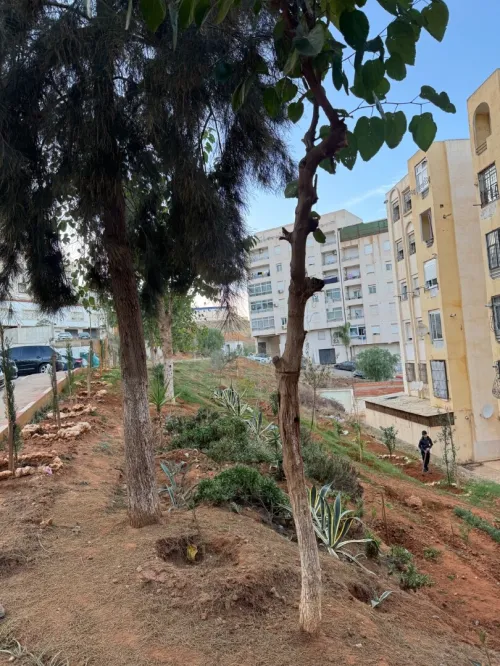 Location Immeuble Appartement F4 Tipaza Douaouda