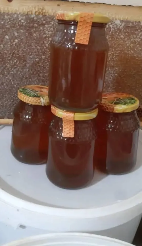 Miel naturel pur - عسل طبيعي 100٪ (سدر، جرجير، كاليتوس، جبلي، متعدد الزهور)