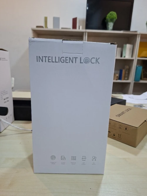 قفل باب ذكي متعدد الوظائف Serrure intelligente multifonction