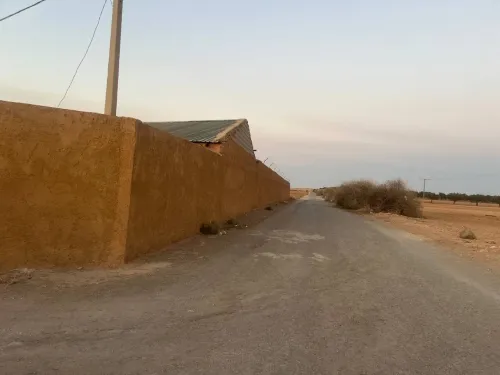 Vente Terrain Agricole Sidi Bel Abbès Tabla